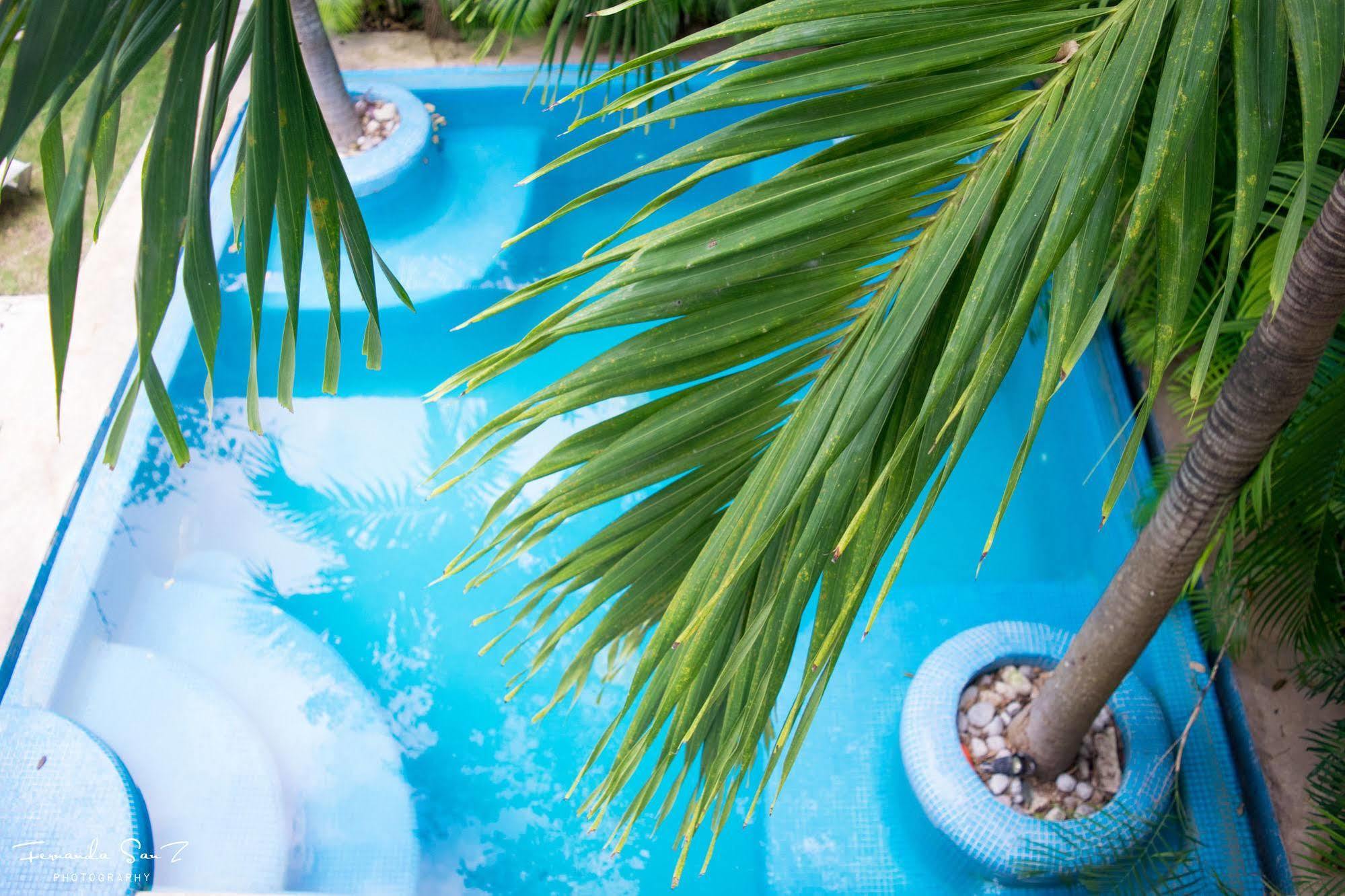 Apart-hotel Nasim Con Acceso Club Gratis, Metros 5th Avenida Playa del Carmen